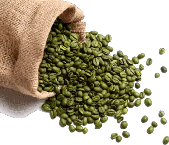 how long do green coffee beans stay fresh