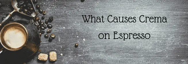 What Causes Crema on Espresso